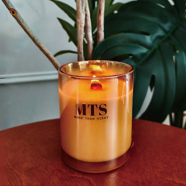 【有點撒糖】MTS諾香實驗室 林間拾光系列香氛蠟燭225g (香味隨機）