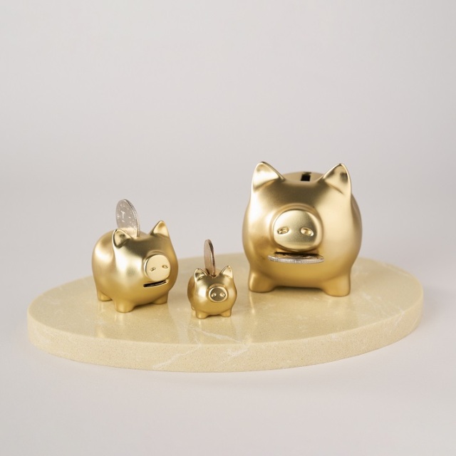 (西門)【金豬GOLDENPIG】大豬小豬落御盤_霧金