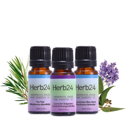 【台中店-草本24】藍膠尤加利+保加利亞薰衣草+茶樹精油組