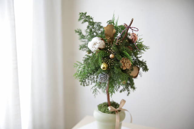 【小北門耶誕特輯】自由造型聖誕小樹耶誕雪松手作活動