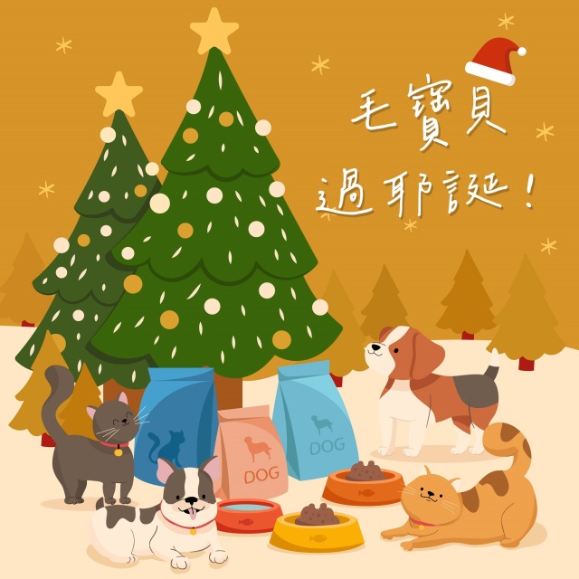 【公益】毛寶貝飽飽過耶誕