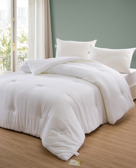 【台中店】 金乳絲益生雙人被 加贈同款枕頭乙對