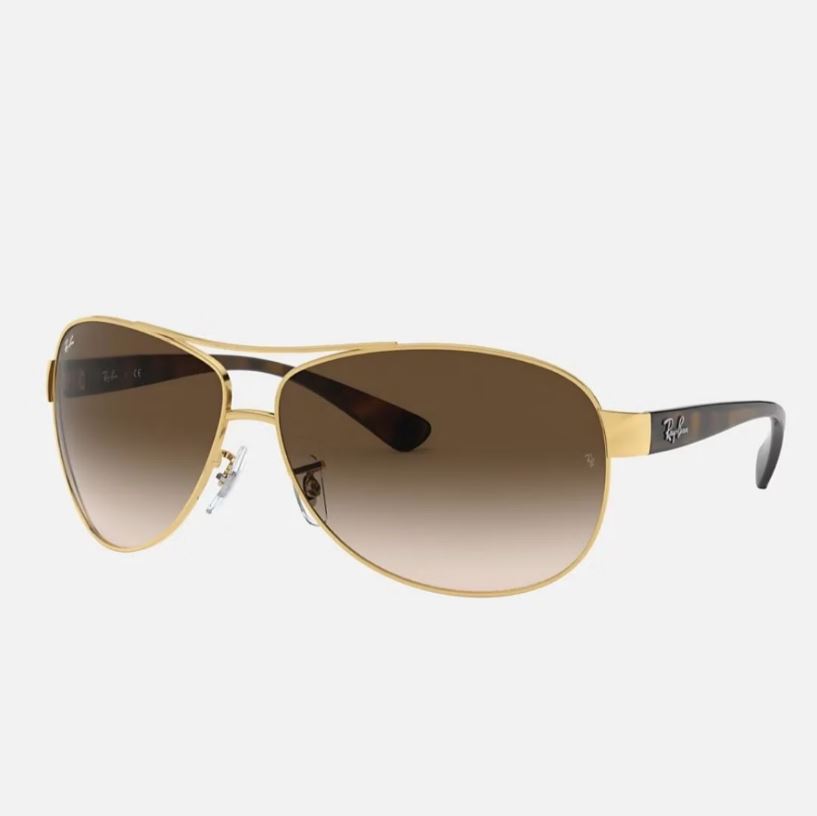 【RAY BAN】 複合式太陽眼鏡
